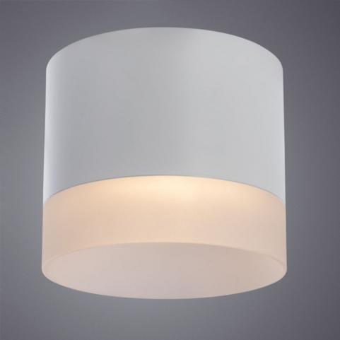 Накладной светильник Arte Lamp Castor   A5554PL-1WH