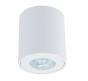 Накладной светильник Arte Lamp Tino  A1469PL-1WH