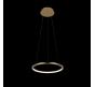 Подвесной светильник Loft IT Ring 10014S