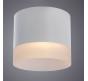Накладной светильник Arte Lamp Castor   A5554PL-1WH