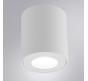 Накладной светильник Arte Lamp Tino  A1469PL-1WH