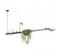 Подвесной светильник Loft IT Jardin 10121/C