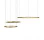 Подвесной светильник Loft IT Ring 10017/3M