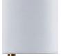 Настольный светильник Arte Lamp Pleione A5045LT-1PB